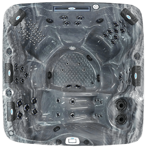 HUNTINGTON PLUS PPL7L